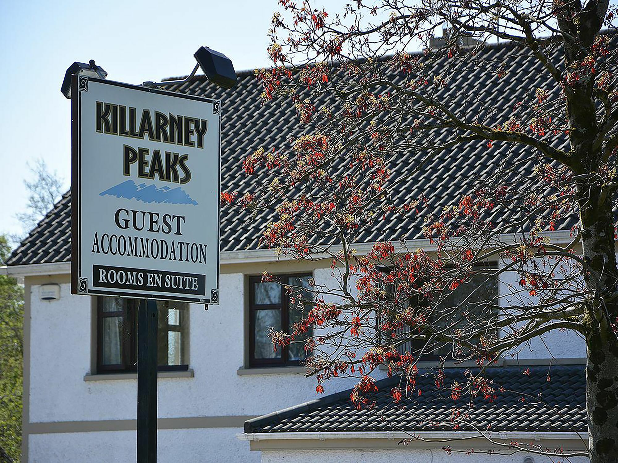 Killarney Peaks Guesthouse Exterior photo